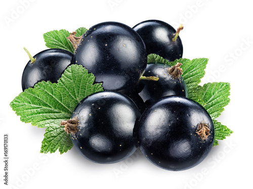 Black currant on the white background.