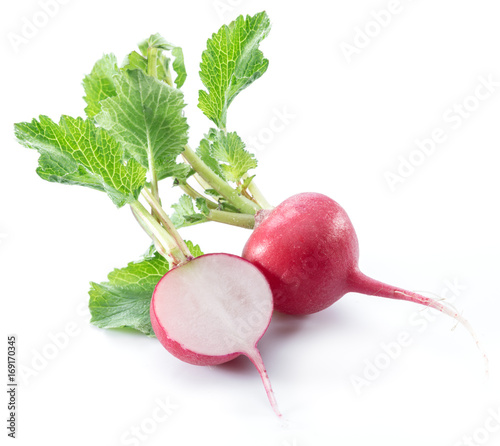 Red salad radish on the white background.