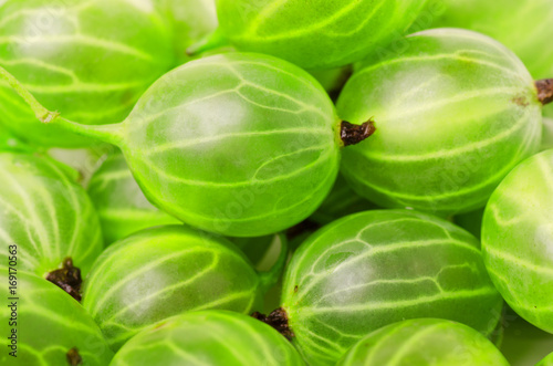 Group of ripe green gooseberry berry