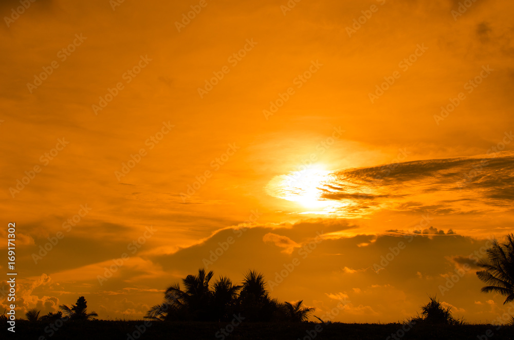 Sunset Silhouette