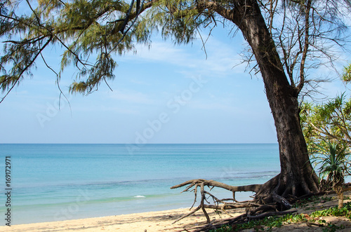 beach and the sea and trees. © khunkornStudio