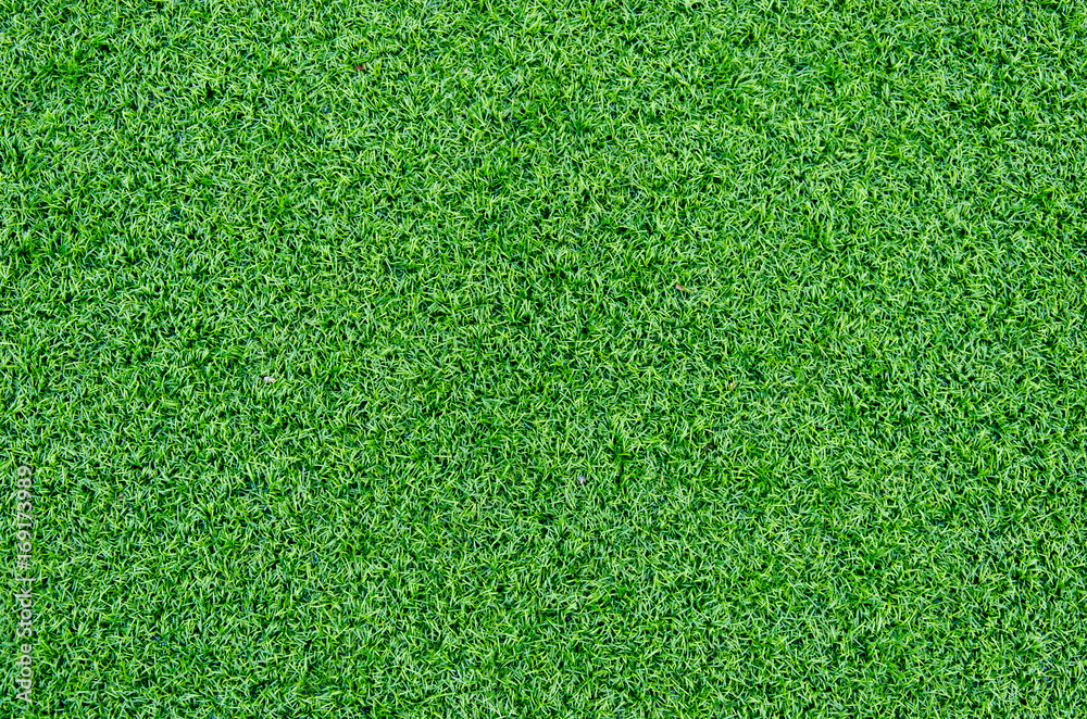Obraz premium Artificial grass background