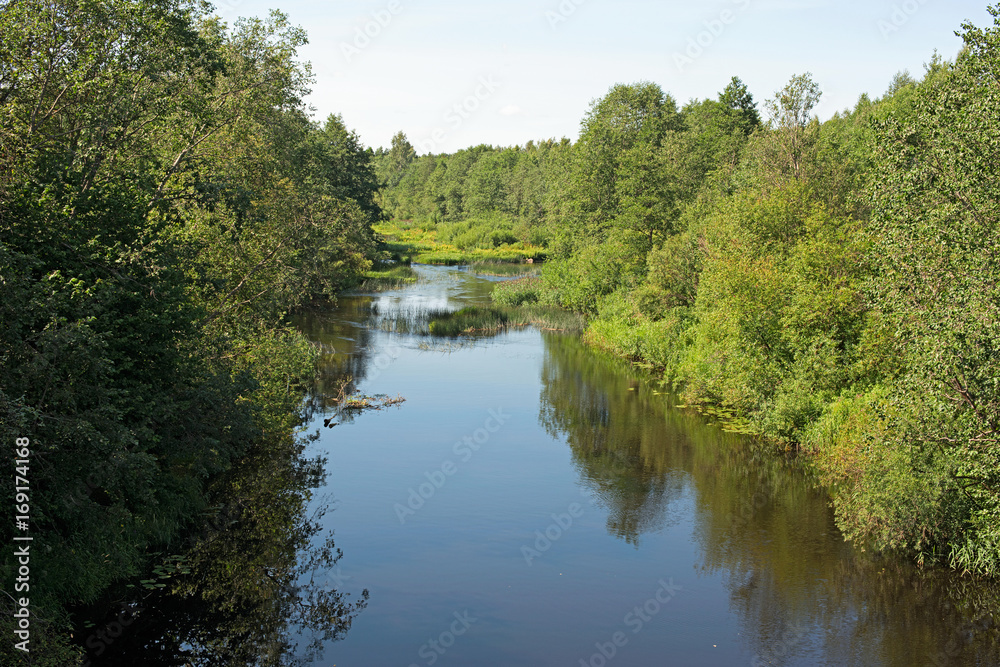 Panoramic summer landscape river and trees on the shore