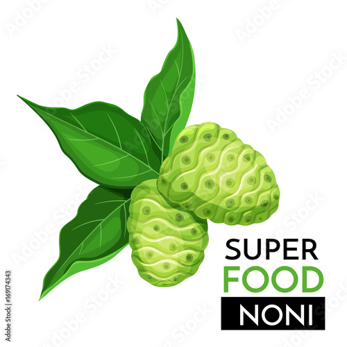 Noni vector icon.