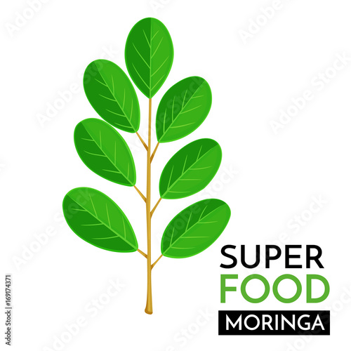 Moringa vector icon.