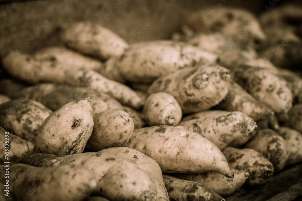a yam sweet potato store close up photo taken in jogja indonesia a yam sweet potato store close up photo taken in jogja indonesia