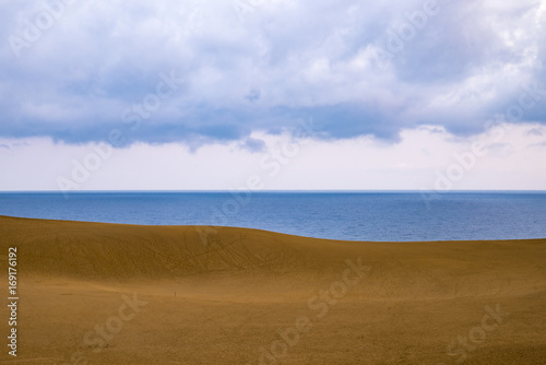 Fototapeta Naklejka Na Ścianę i Meble -  鳥取砂丘の自然が創った馬の背の曲線と雲と空の協演