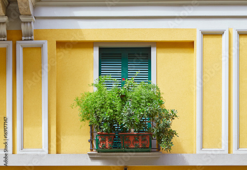 The window of one of the houses in the center of Milan is shuttered and decorated with flowers