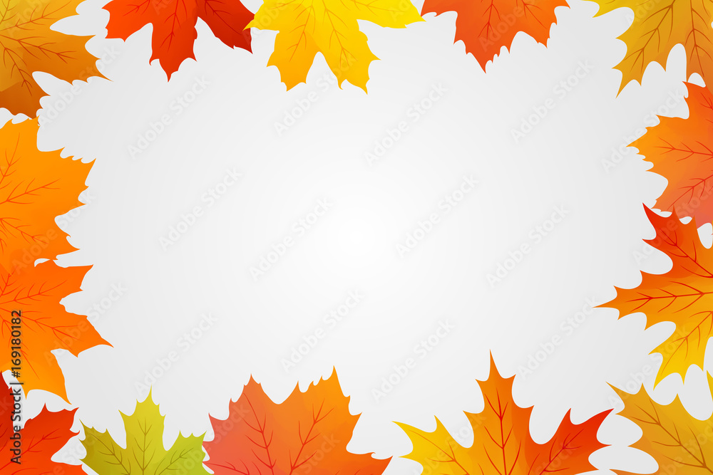 autumn maple leaf border vector drawing composition