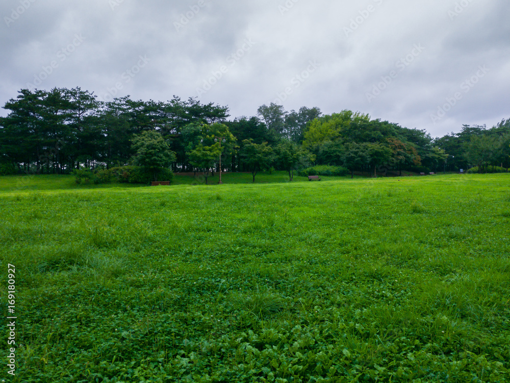 Obraz premium City park