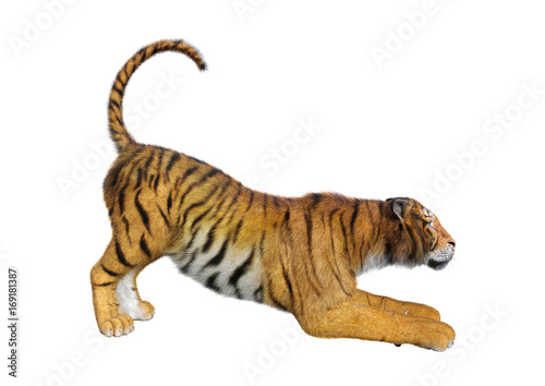 Fototapeta Naklejka Na Ścianę i Meble -  3D Rendering Big Cat Tiger on White