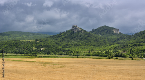 Field of wheat with mountainous backdrop