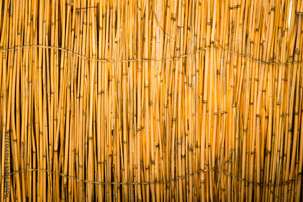Reed tied in a fence as a background