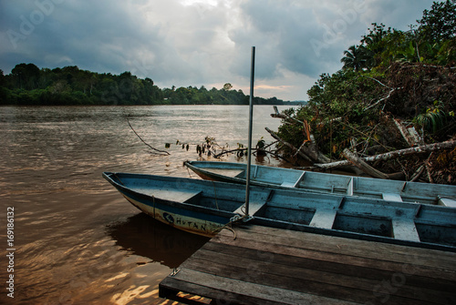 Kinabatangan river, Borneo, Sabah Malaysia. Evening landscape of trees, water and boats. photo