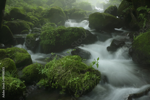 Kitanizawa mountain stream / In the middle of beautiful mountain landscape © kazutakadream