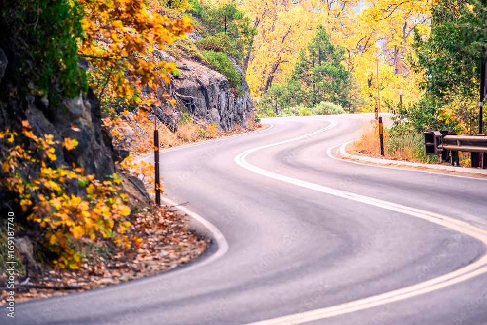 Sequoia National Park Road. California, United States. Sequoia National Park Road. California, United States.