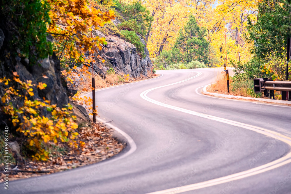 Sequoia National Park Road. California, United States.