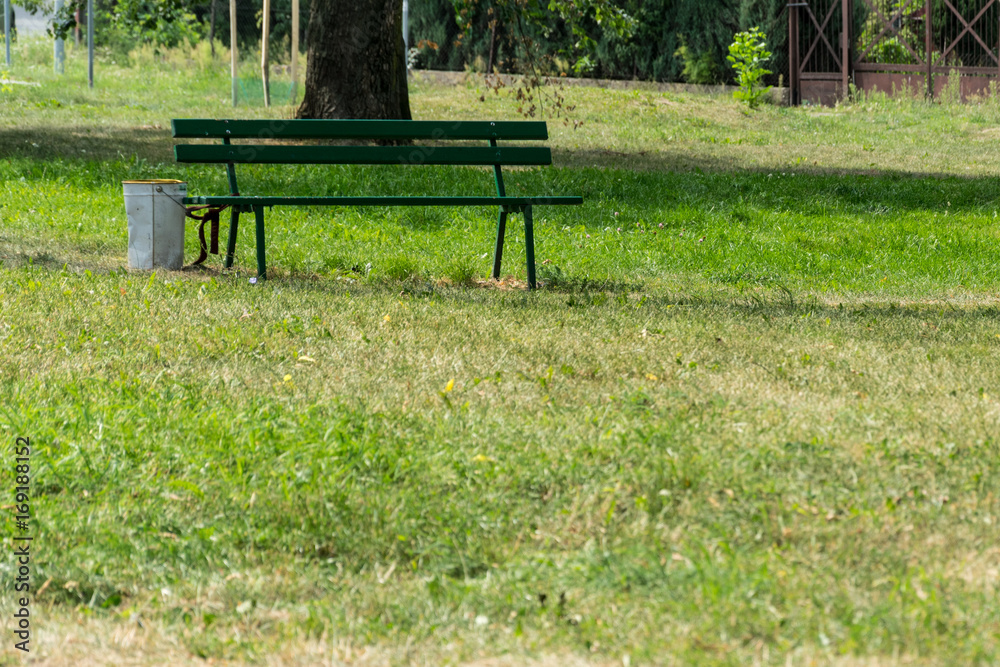 green bench in park. green grass around it green bench in park. green grass around it