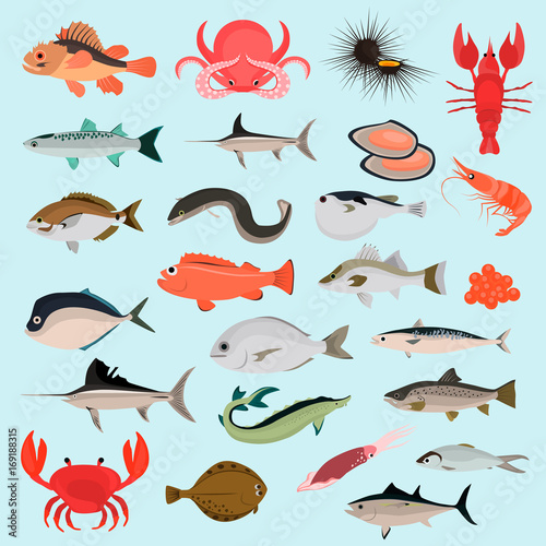 Big color flat sea animals and food icons for web and mobile design