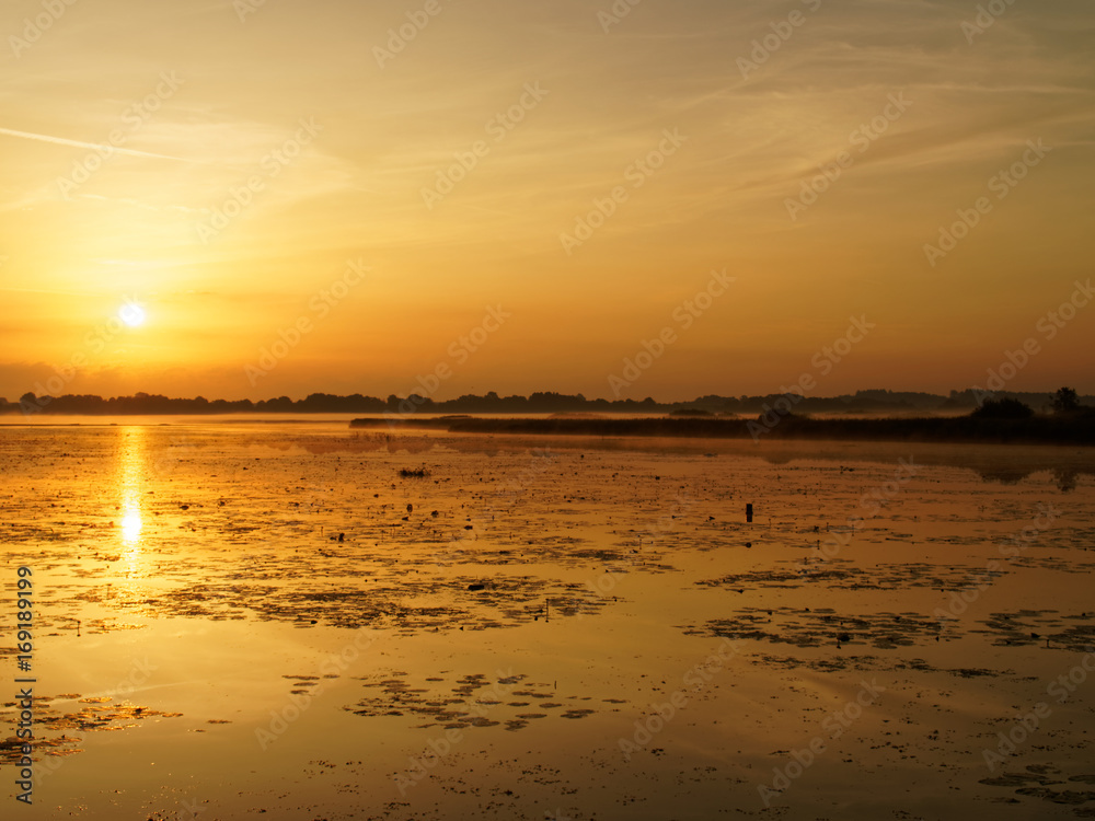 Sumpflandschaft bei Sonnenaufgang Sumpflandschaft bei Sonnenaufgang