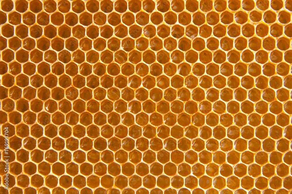honey comb background or texture honey comb background or texture