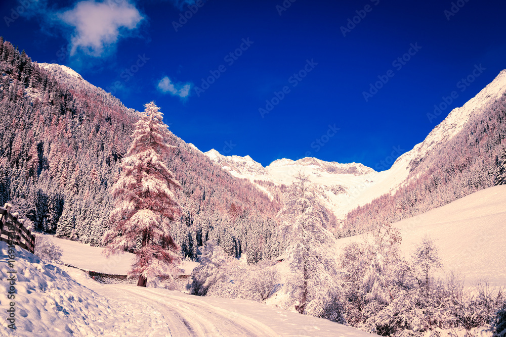 Sunny day in the alps after the snowfall