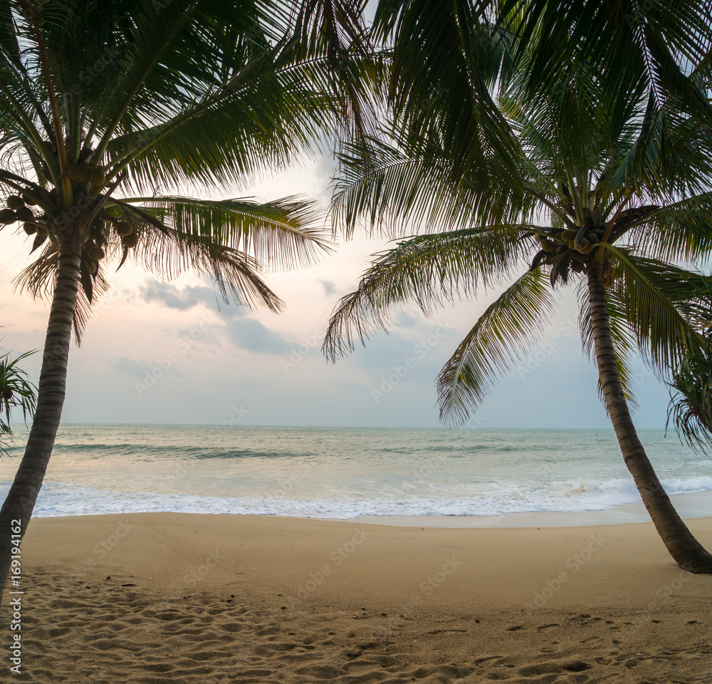 Obraz premium Sunset Beach with palm trees and beautiful sky.