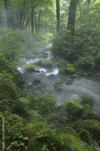 Kitanizawa mountain stream / In the middle of beautiful mountain landscape