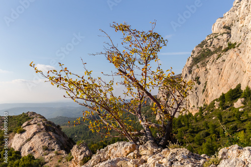 the Sainte-Victoire mountain, near Aix-en-Provence, which inspired the painter Paul Cézanne