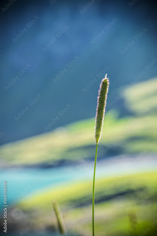 Fototapeta premium Focus moncenisio, francia