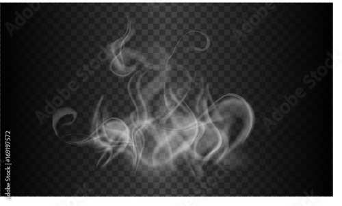smoke template background isolated and transparent, vector illustration