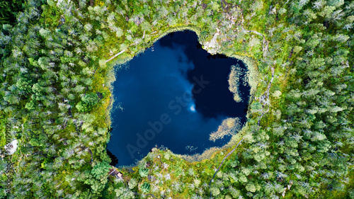 Aerial view of a forest lake