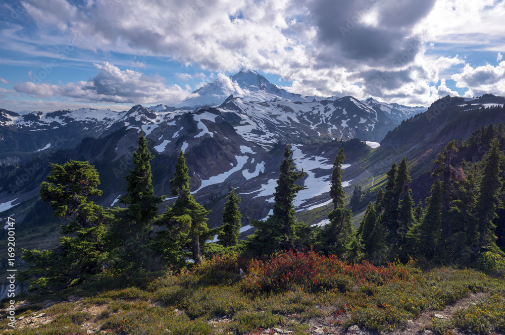 Pacific North West Mt. Baker National Forest Landscape and Mountains Pacific North West Mt. Baker National Forest Landscape and Mountains