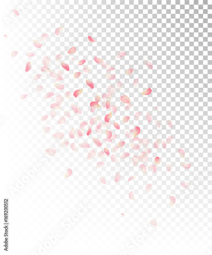 Petals