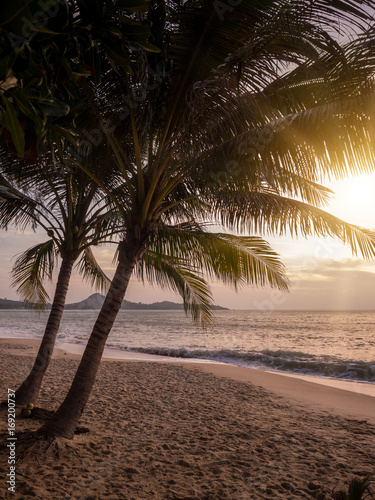 Tropical beach at sunset © Netfalls