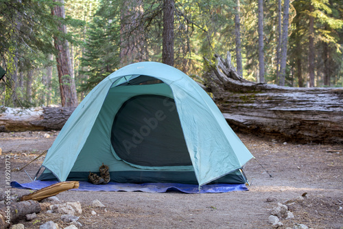 Campground green tent among pine trees at Lassen Volcanic National Park