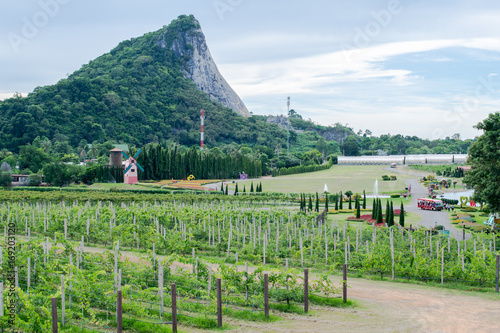 silverlake garden at pattaya,THAILAND 2017