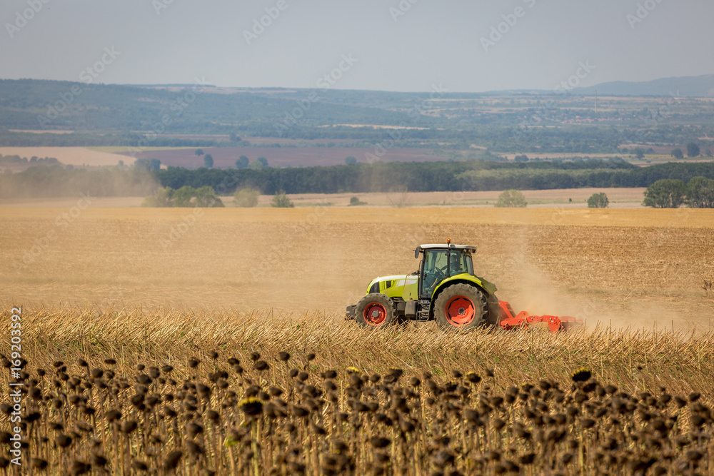 Fototapeta premium tractor harvest 