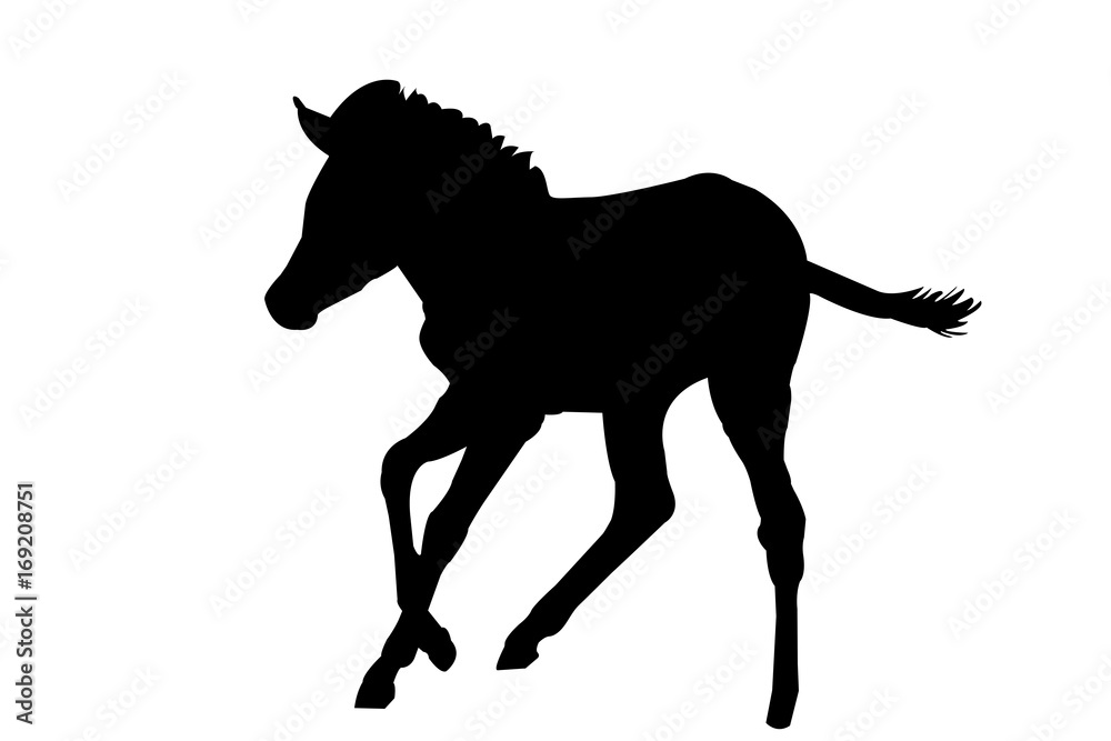 View on the silhouette of a Zebra Kitten - digitally hand drawn vector illustraion View on the silhouette of a Zebra Kitten - digitally hand drawn vector illustraion