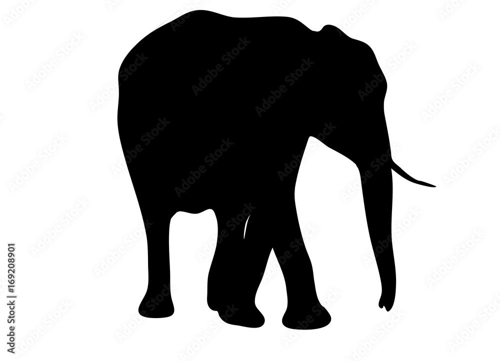 View on the silhouette of an african elephant - digitally hand drawn vector illustration View on the silhouette of an african elephant - digitally hand drawn vector illustration