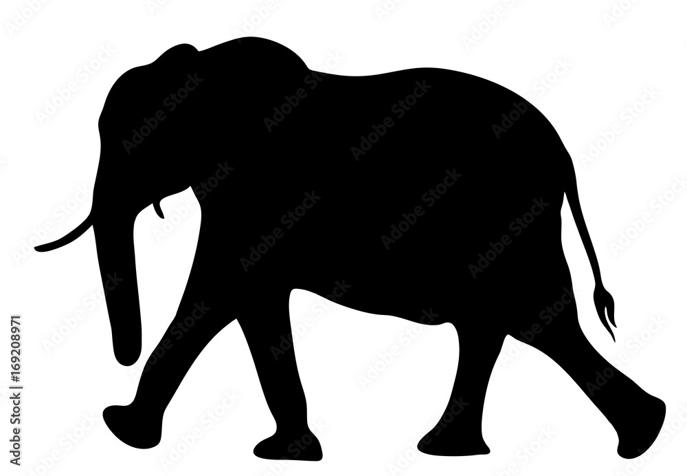 Obraz premium View on the silhouette of an african elephant - digitally hand drawn vector illustration