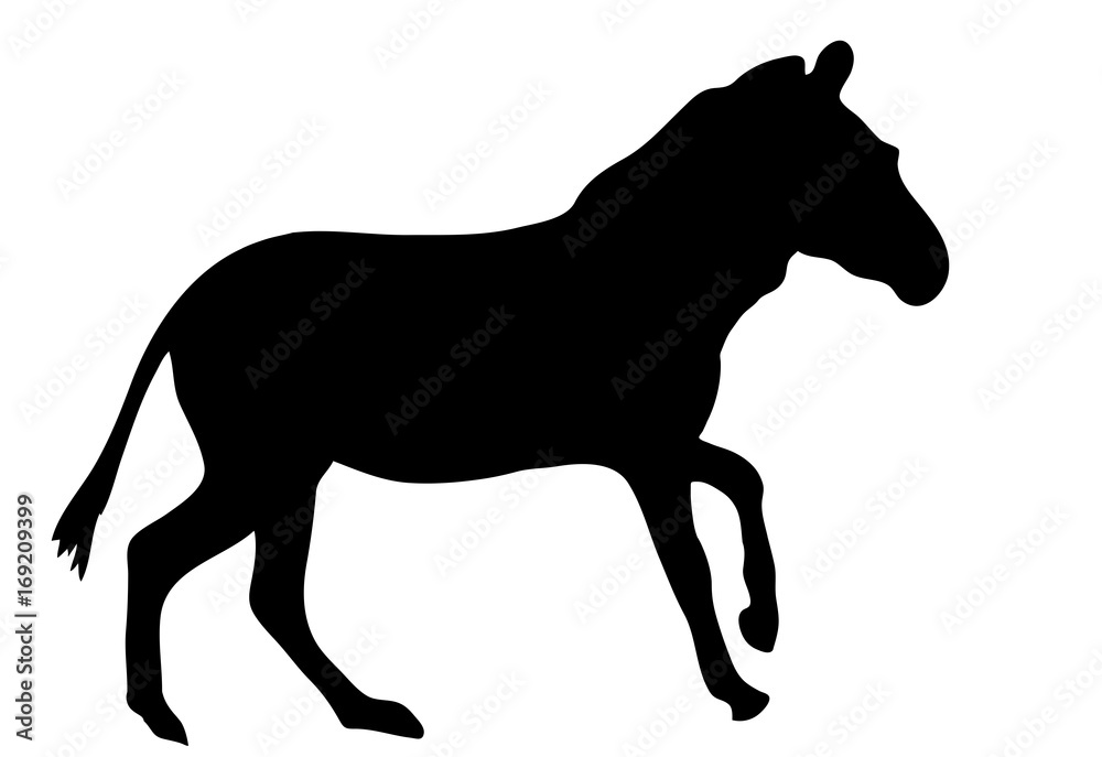Fototapeta premium View on the silhouette of a moving zebra - digitally hand drawn vector illustraion