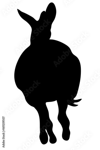 View on the silhouette of a moving zebra - digitally hand drawn vector illustraion