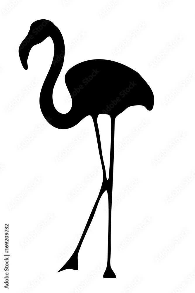 Obraz premium View on the silhouette of a flamingo - digitally hand drawn vector illustraion