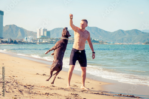 Man playing with dog american pit bull terrier on beach. Dog jumps high