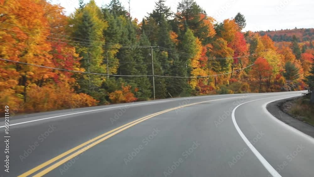Driving on American highway with trees around in autumn Driving on American highway with trees around in autumn