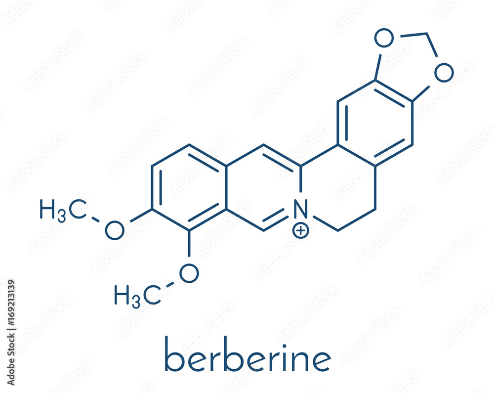 Berberine herbal medicine molecule. Skeletal formula.