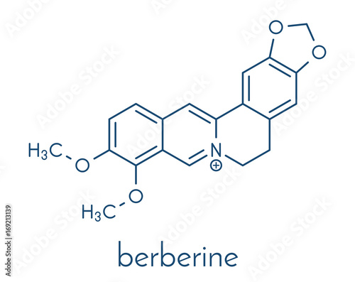 Berberine herbal medicine molecule. Skeletal formula.