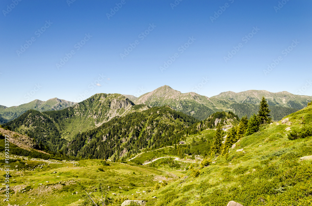 alps view during summer, scenic landscape of italian alps in summertime