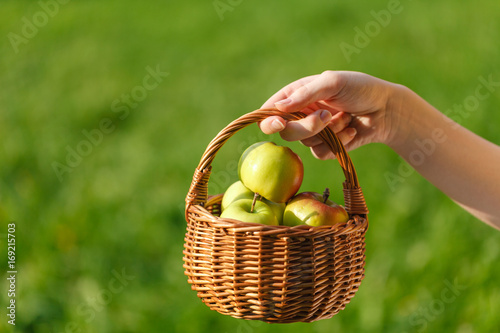 Girl holding basket of apples